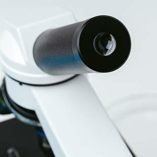 Buscando por ensaios mecânicos e metalúrgicos?