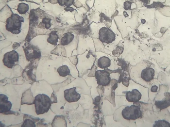 Ensaio Metalográfico Aço